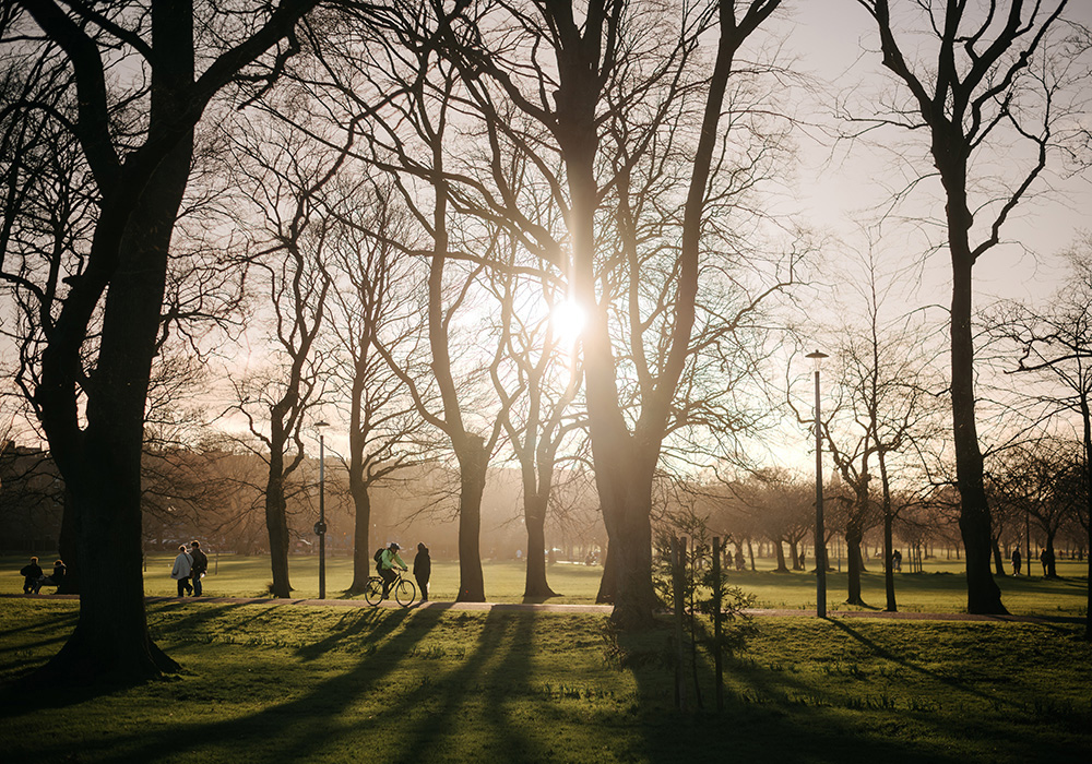 Campus environmental landscape